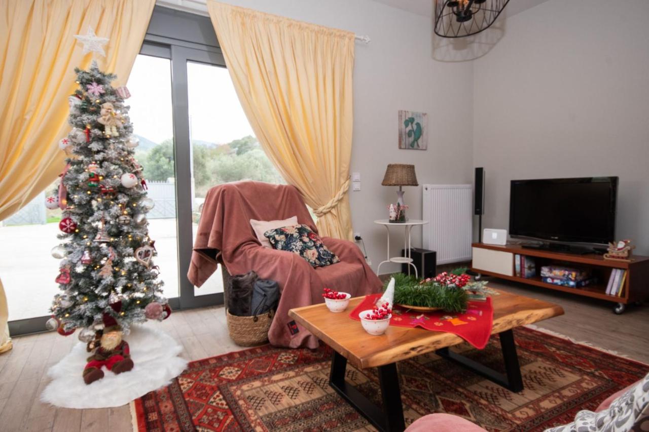 Stellas Guesthouse Near Arachova Stírion المظهر الخارجي الصورة