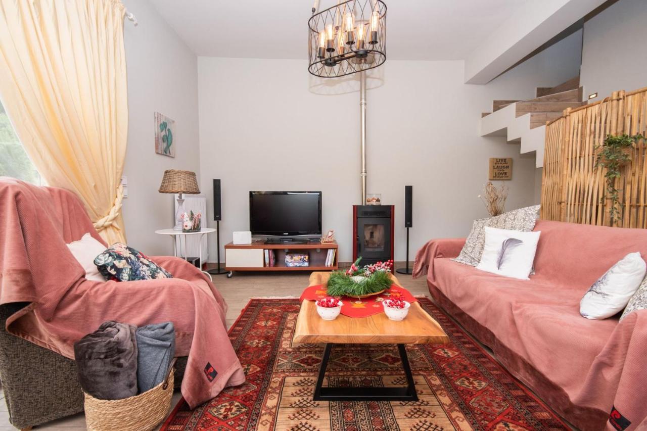 Stellas Guesthouse Near Arachova Stírion المظهر الخارجي الصورة