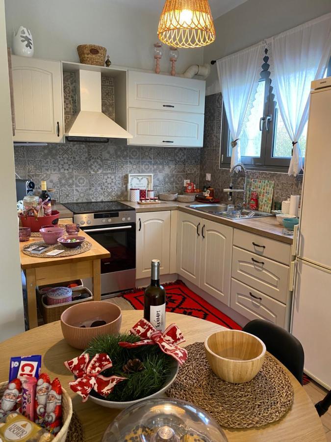 Stellas Guesthouse Near Arachova Stírion المظهر الخارجي الصورة