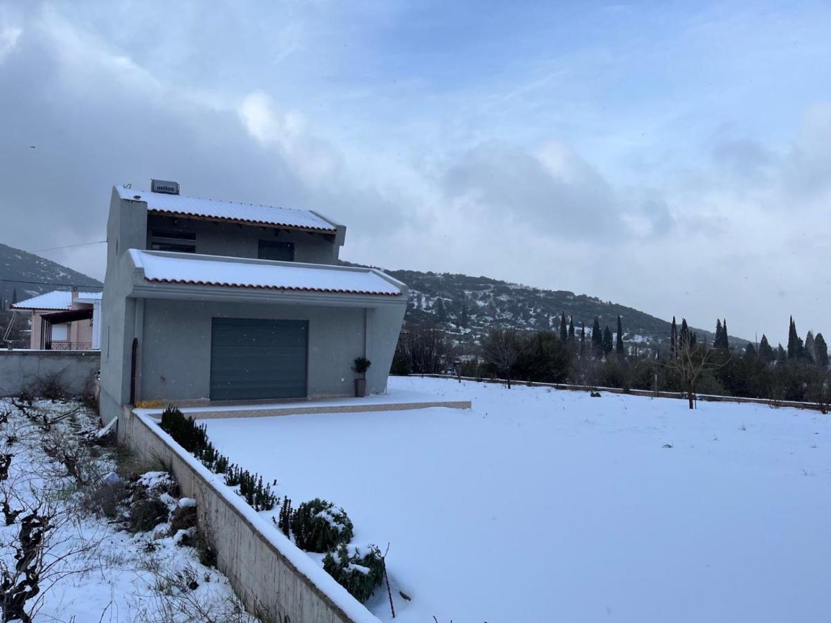 Stellas Guesthouse Near Arachova Stírion المظهر الخارجي الصورة