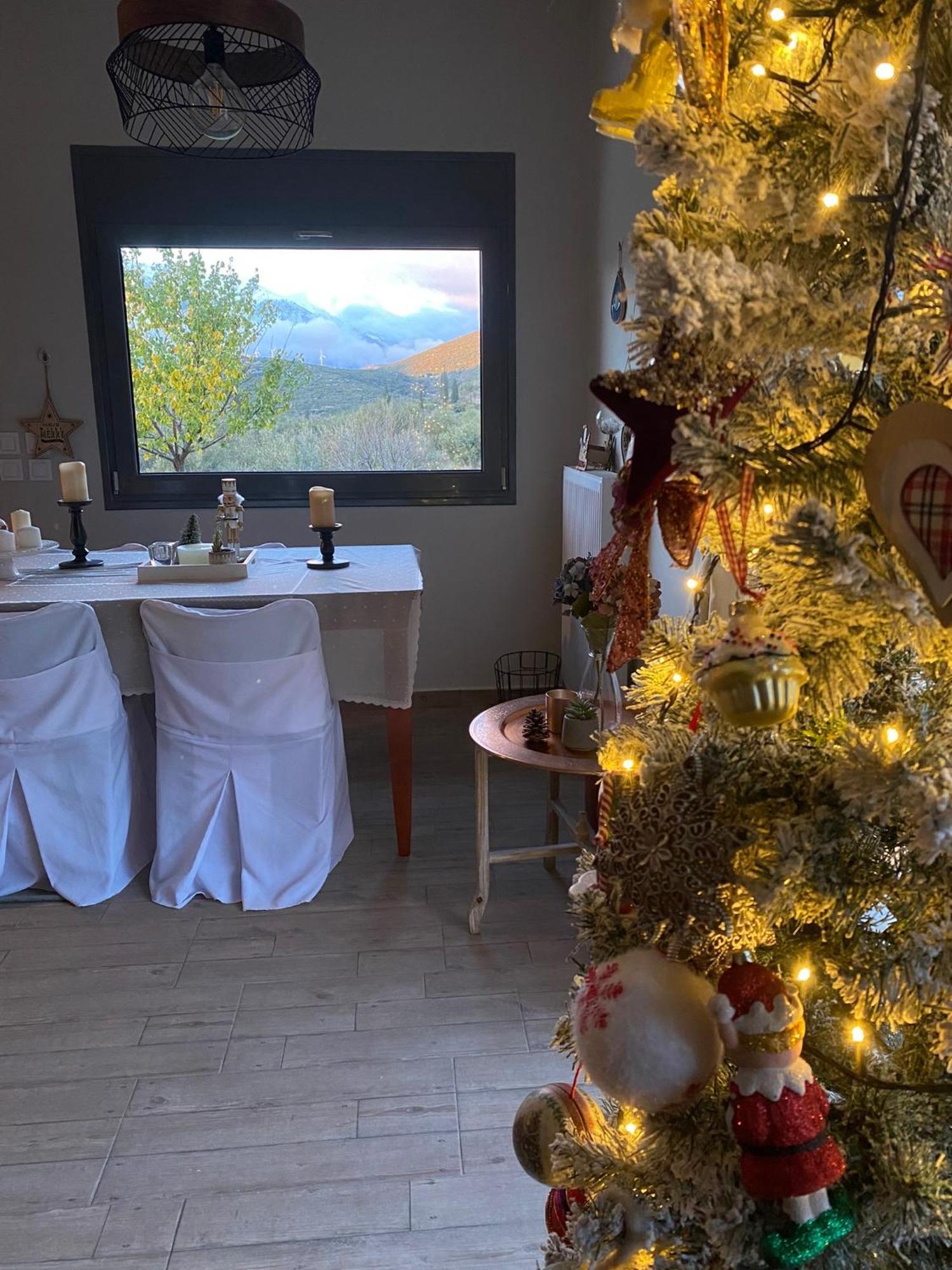 Stellas Guesthouse Near Arachova Stírion المظهر الخارجي الصورة