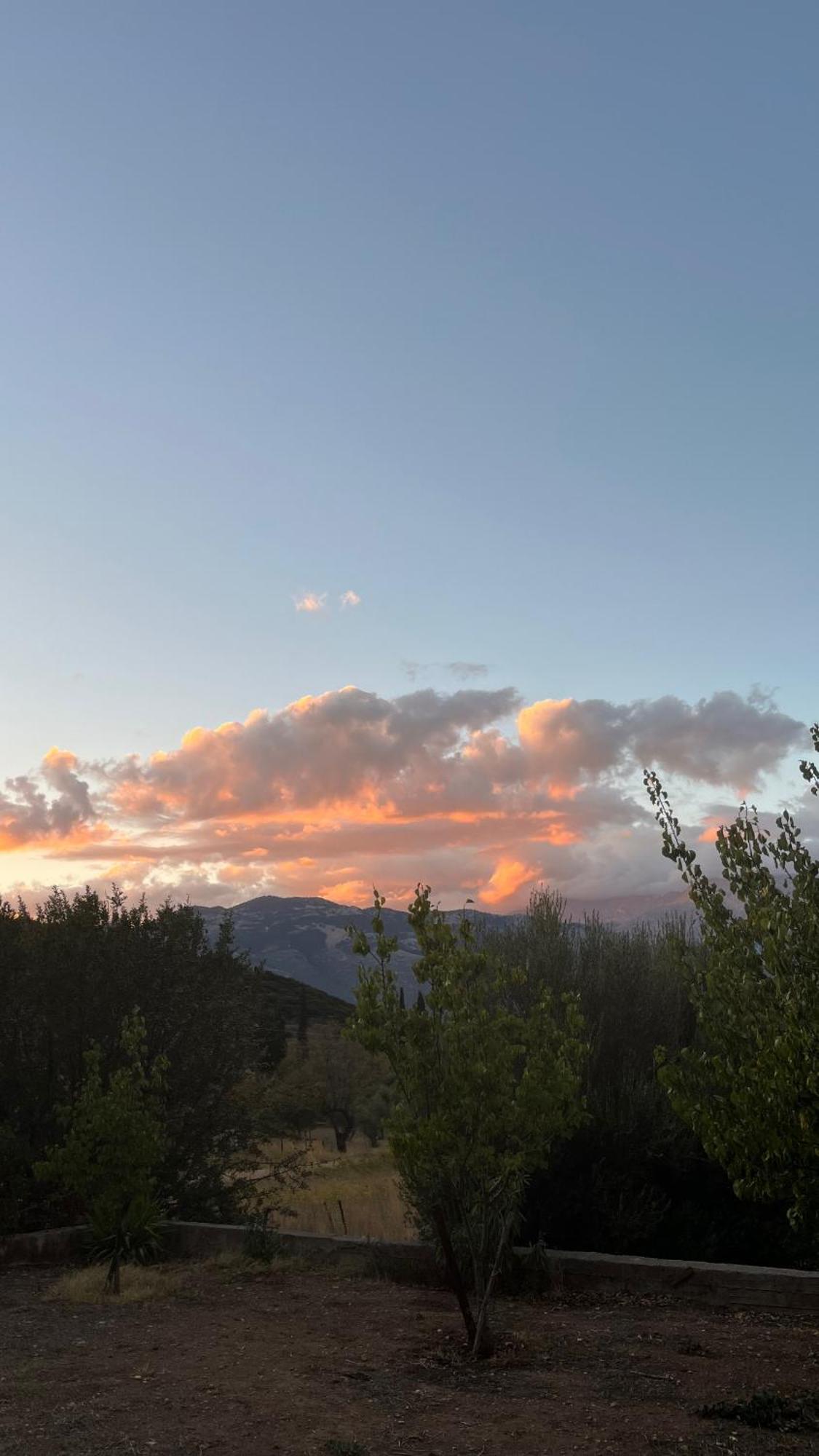 Stellas Guesthouse Near Arachova Stírion المظهر الخارجي الصورة