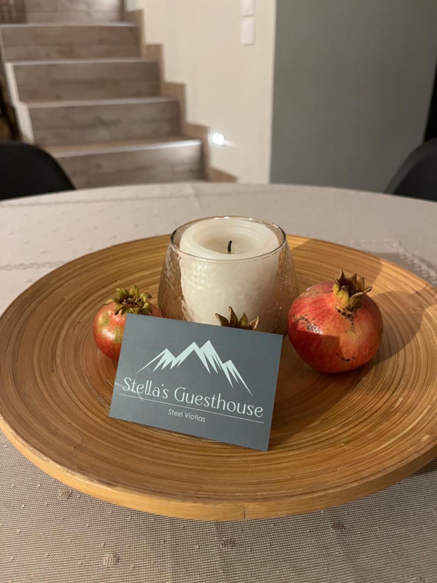 Stellas Guesthouse Near Arachova Stírion المظهر الخارجي الصورة