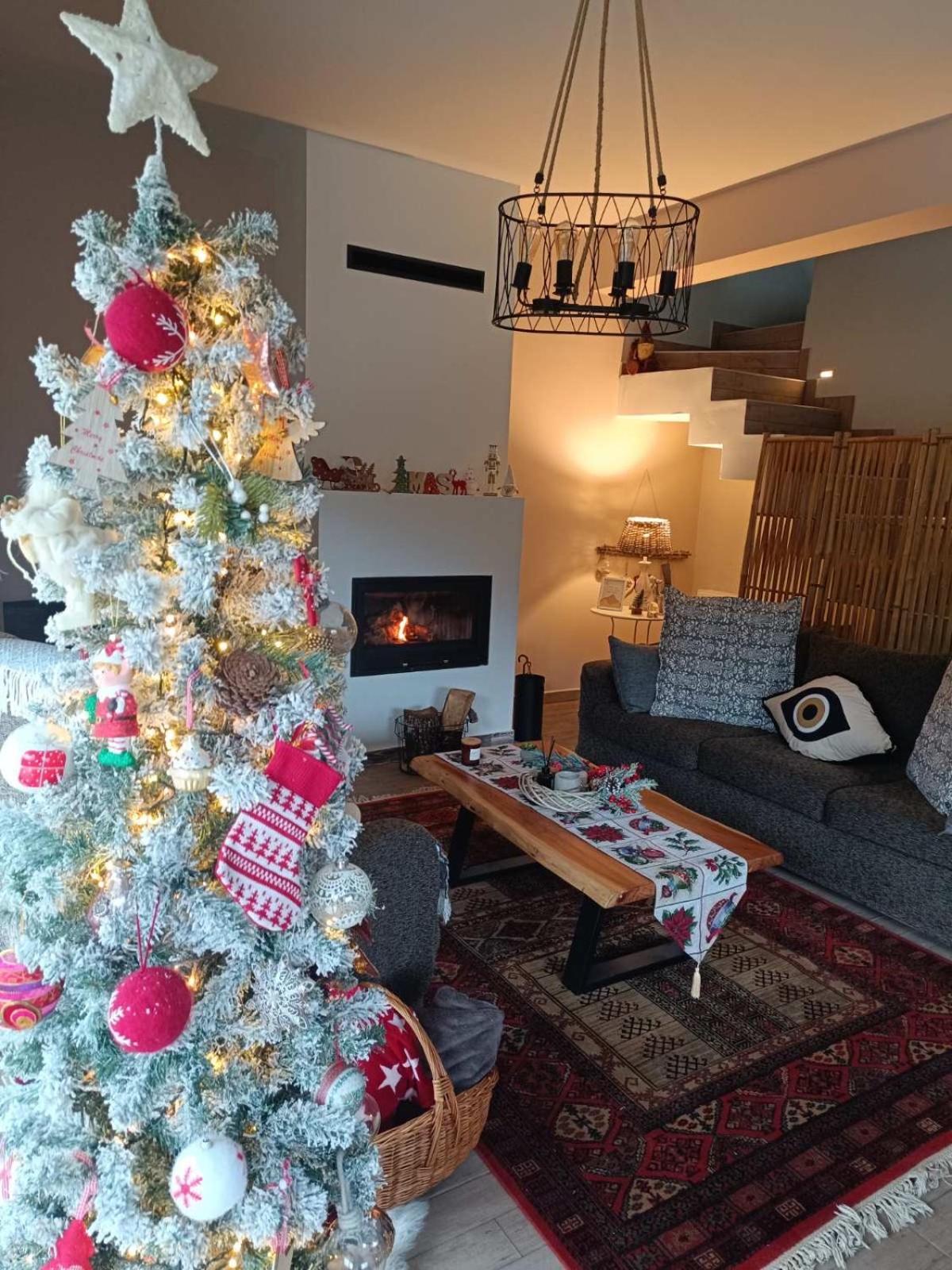 Stellas Guesthouse Near Arachova Stírion المظهر الخارجي الصورة